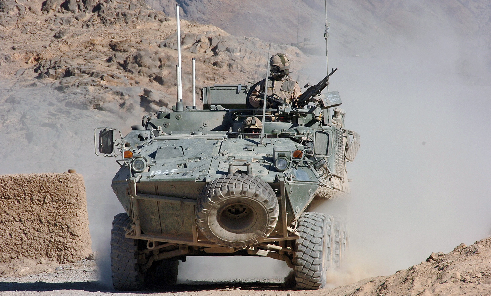 Bison in Afghanistan