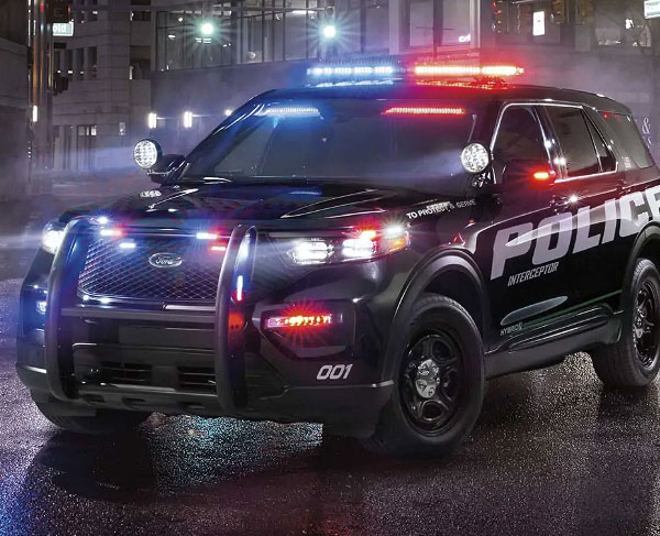 Police Protection, Cruiser